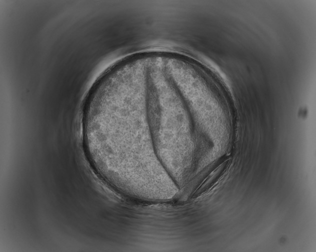 X0000099951368200806201303