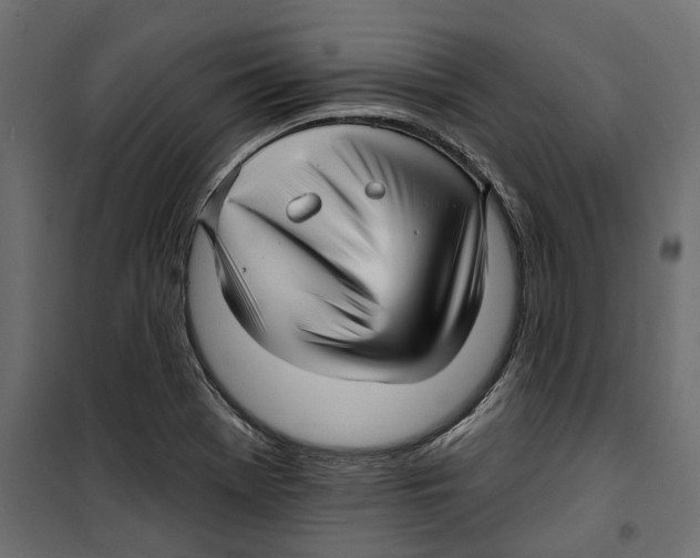X0000099951369200806201303