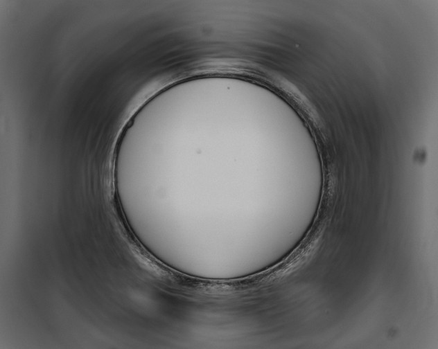 X0000099951370200806201303