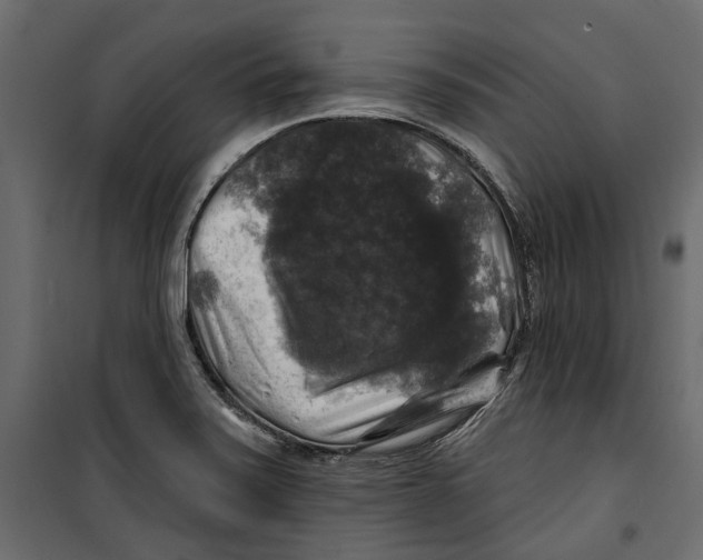 X0000099951371200806201303