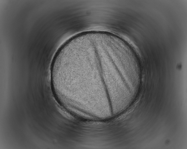 X0000099951372200806201303