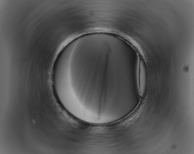 X0000099951373200806201303