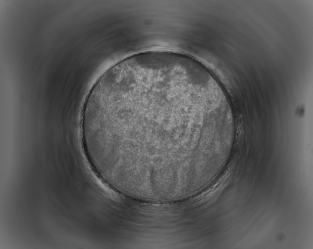 X0000099951375200806201303