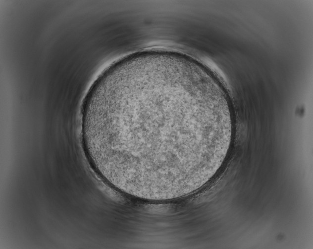 X0000099951376200806201303