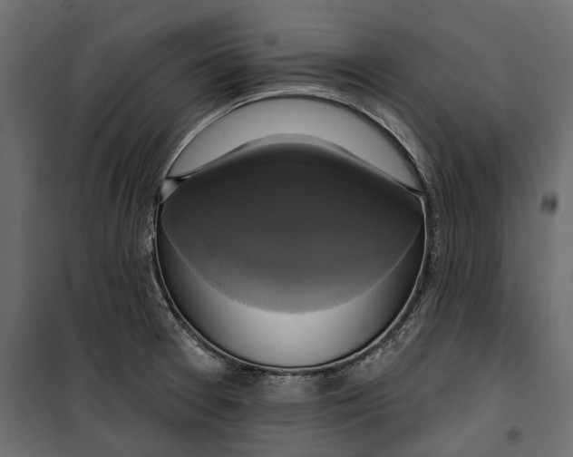 X0000099951377200806201303