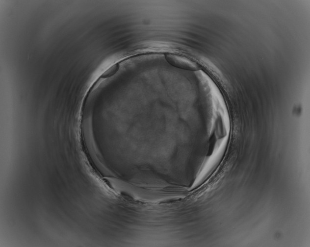 X0000099951378200806201303