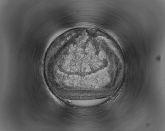 X0000099951379200806201303