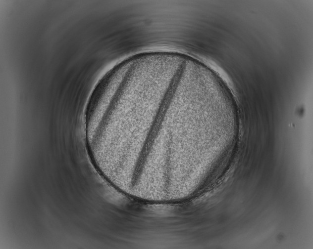 X0000099951380200806201303