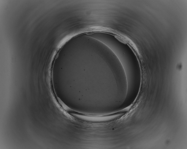 X0000099951381200806201303