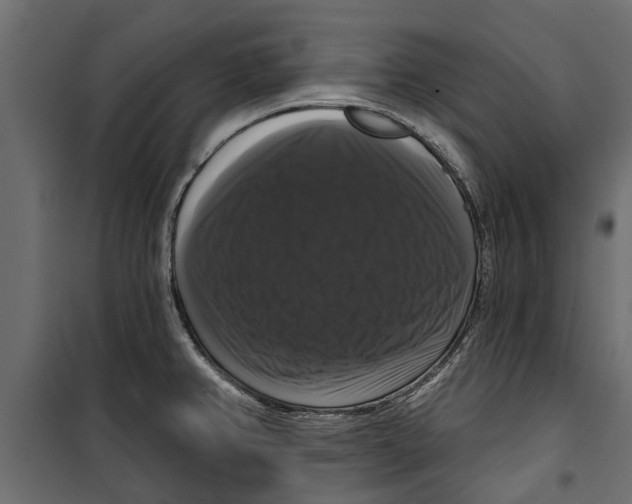 X0000099951382200806201303