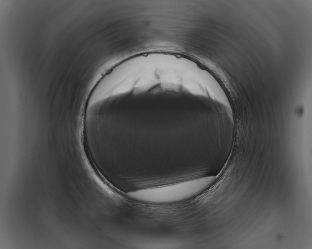 X0000099951383200806201303