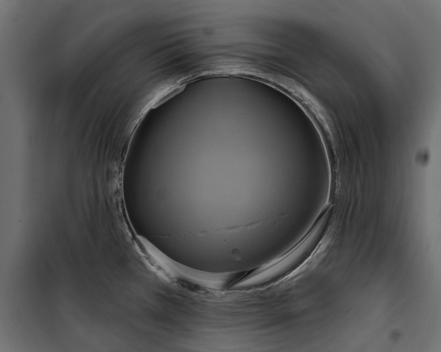 X0000099951385200806201303