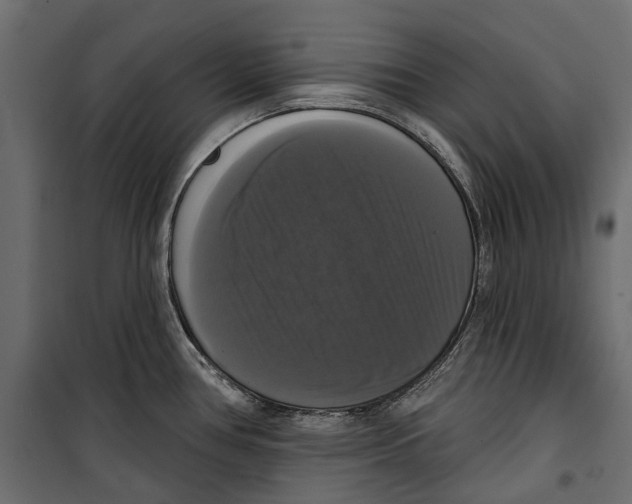 X0000099951386200806201303