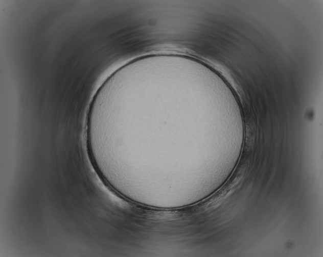 X0000099951387200806201303