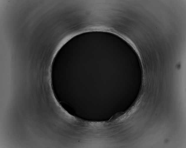 X0000099951389200806201303