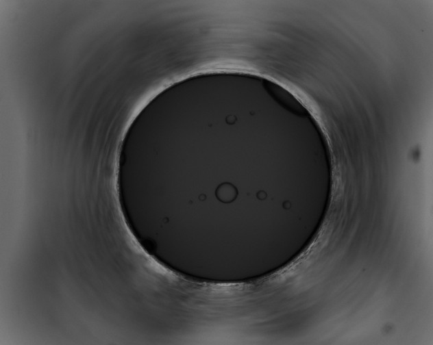 X0000099951390200806201303