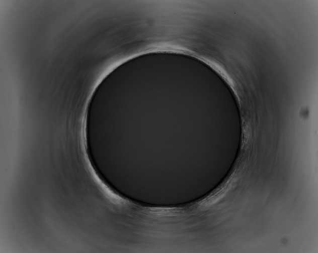 X0000099951391200806201303