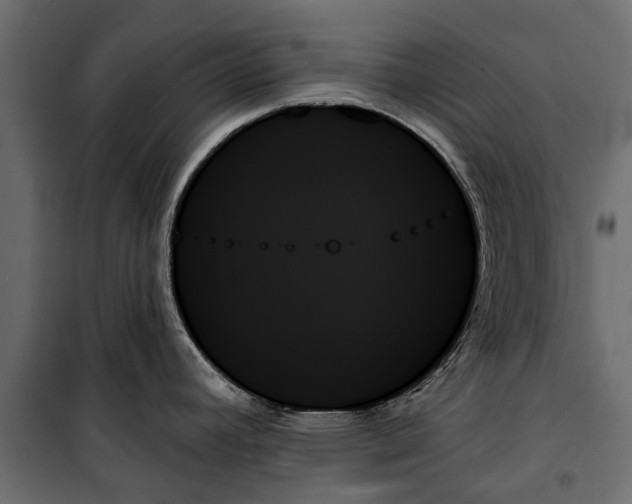 X0000099951392200806201303