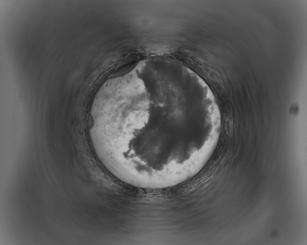 X0000099951393200806201302