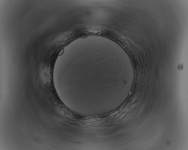 X0000099951394200806201302