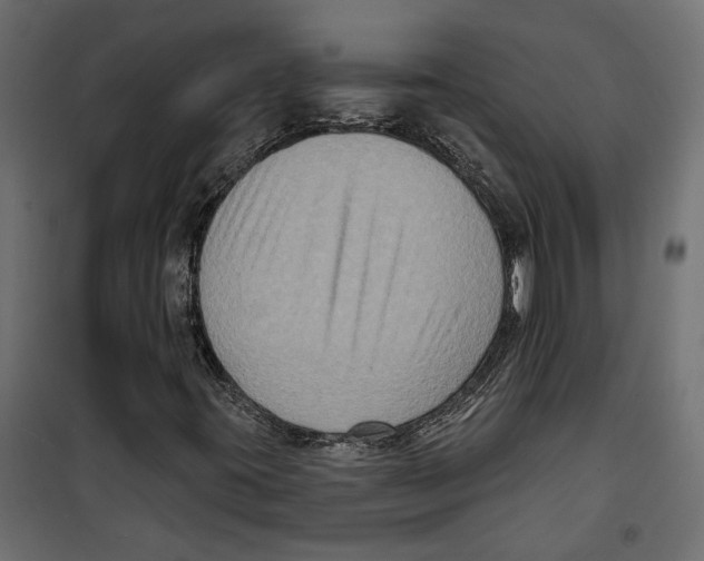X0000099951395200806201302