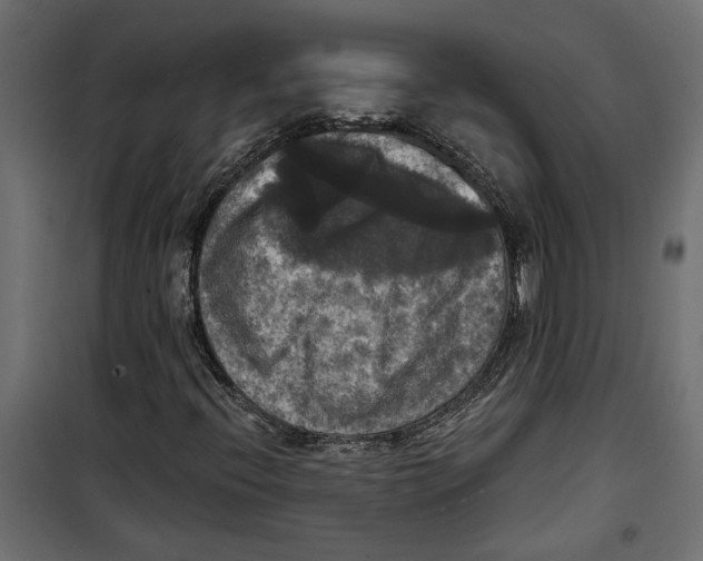 X0000099951396200806201302