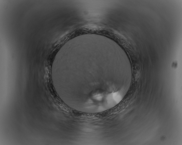 X0000099951397200806201302