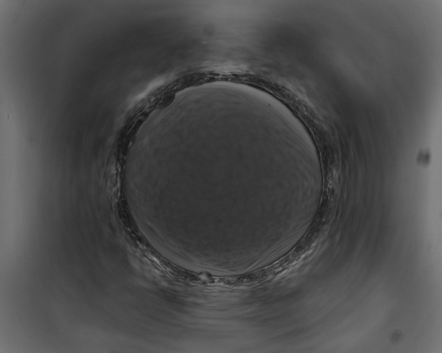 X0000099951398200806201302