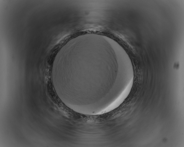 X0000099951399200806201302