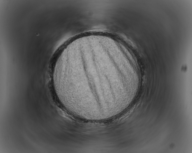 X0000099951400200806201302