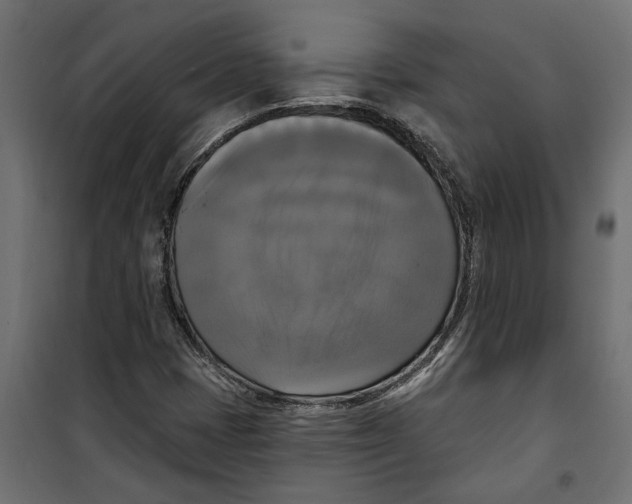 X0000099951401200806201302