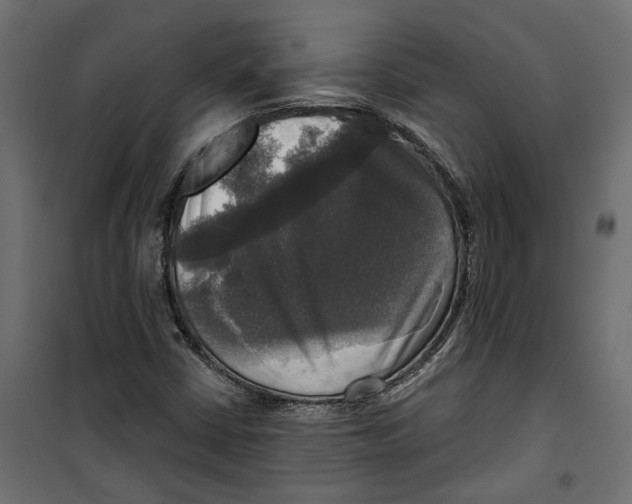 X0000099951402200806201302