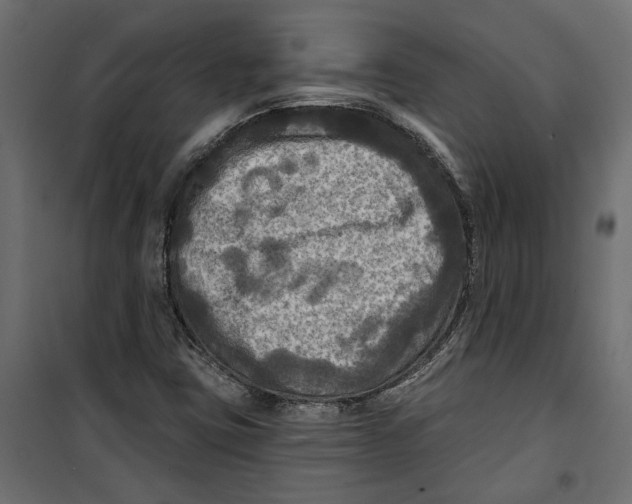 X0000099951403200806201302