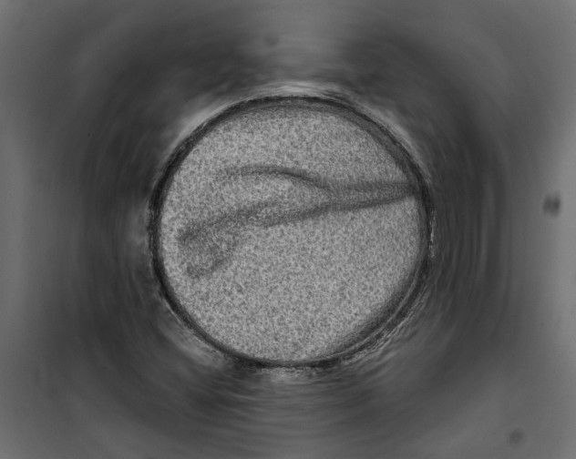 X0000099951404200806201302