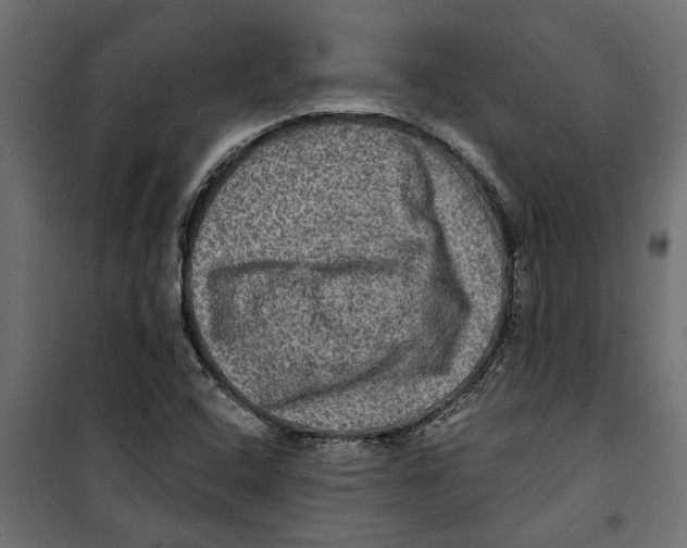 X0000099951408200806201302