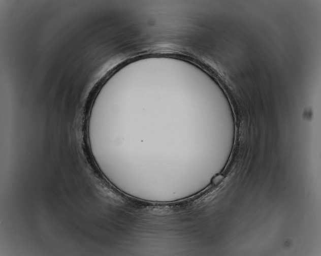 X0000099951410200806201302