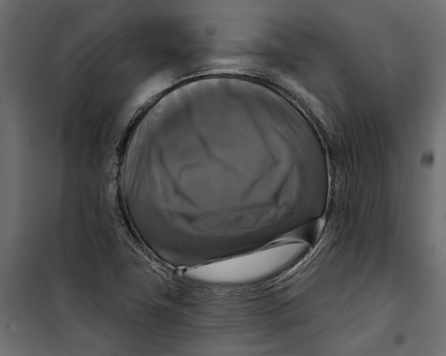 X0000099951411200806201302