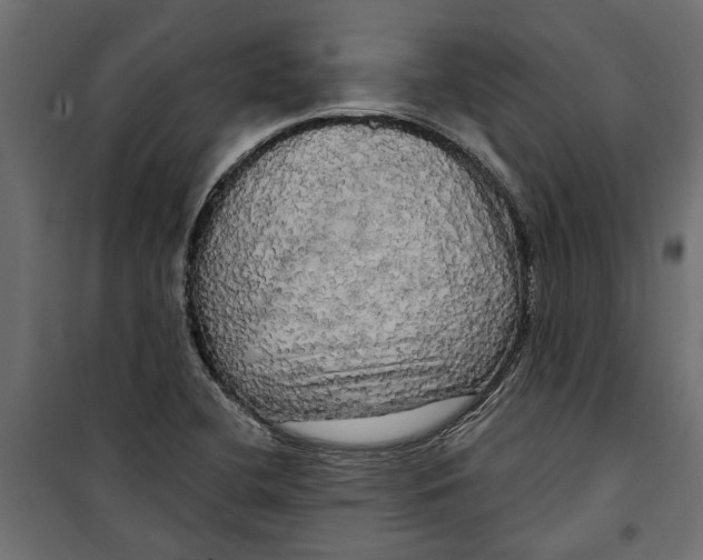 X0000099951412200806201302