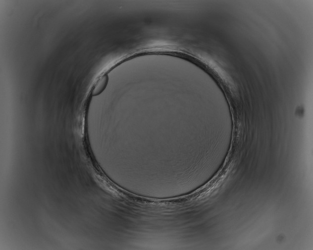 X0000099951413200806201302