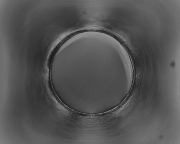 X0000099951414200806201302