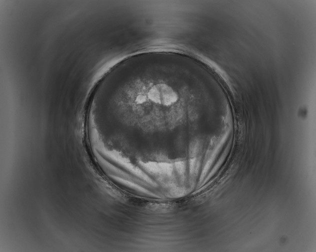 X0000099951415200806201302