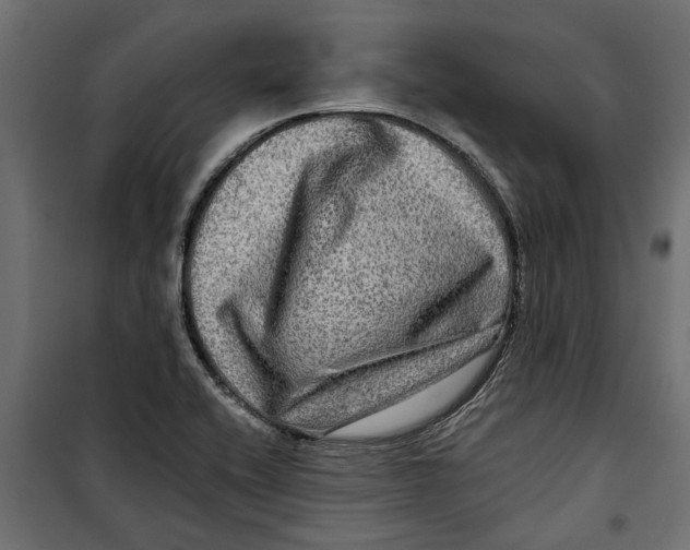 X0000099951416200806201302