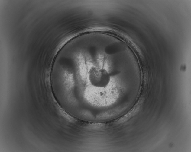 X0000099951417200806201302
