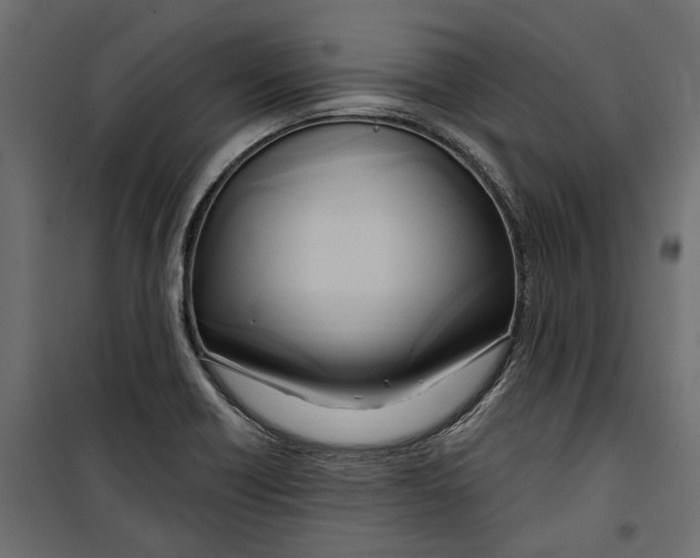 X0000099951418200806201302