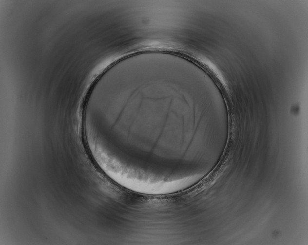 X0000099951419200806201302