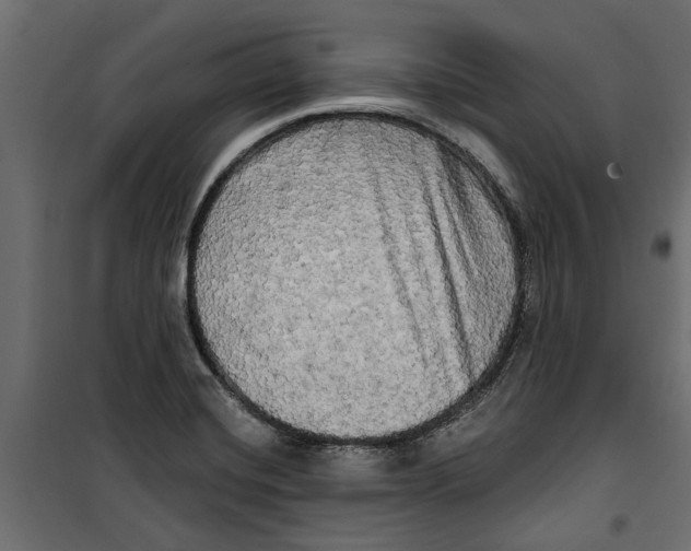 X0000099951420200806201302