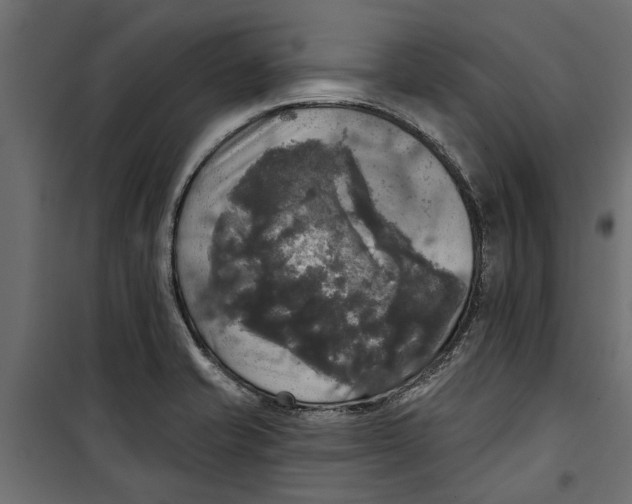 X0000099951421200806201302