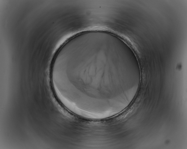 X0000099951422200806201302