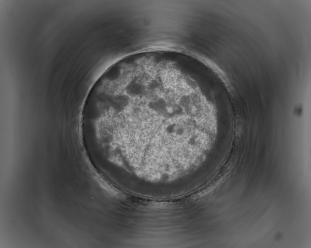 X0000099951423200806201302