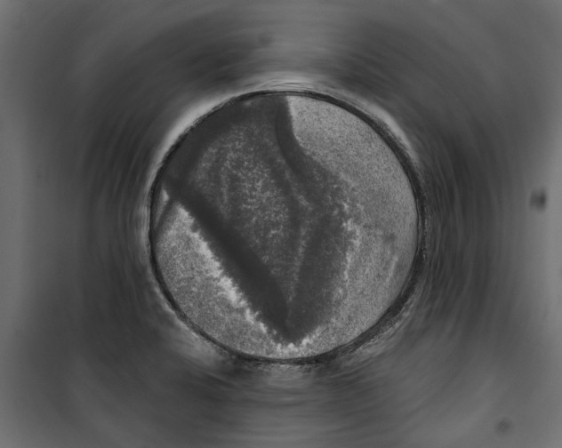 X0000099951424200806201302